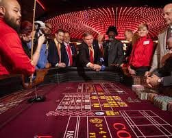 arena ai Live Casino